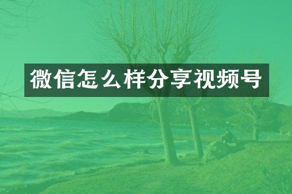 微信怎么样分享视频号