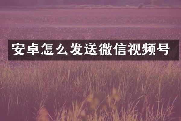 安卓怎么发送微信视频号