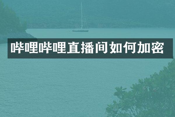 哔哩哔哩直播间如何加密
