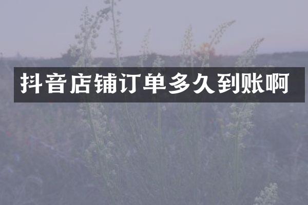 抖音店铺订单多久到账啊