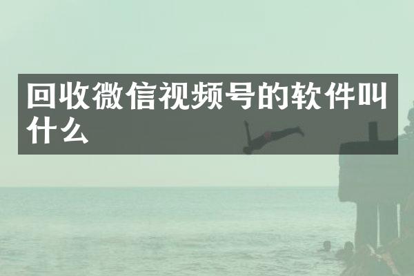 回收微信视频号的软件叫什么