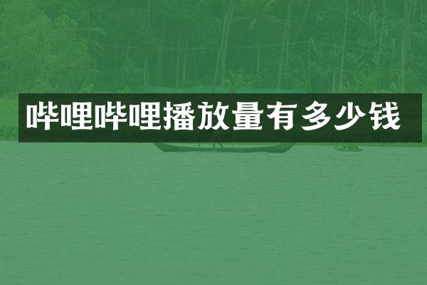 哔哩哔哩播放量有多少钱