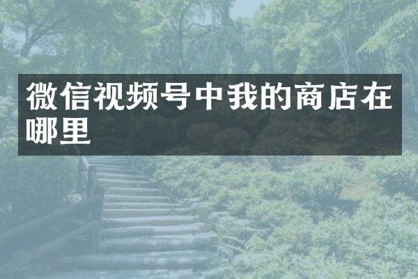 微信视频号中我的商店在哪里