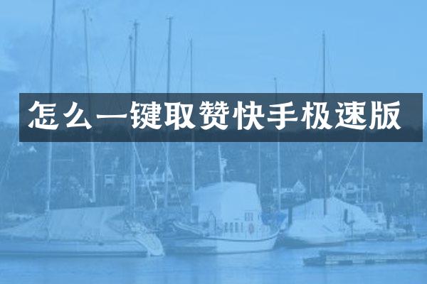 怎么一键取赞快手极速版