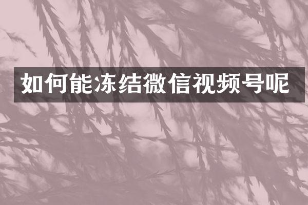 如何能冻结微信视频号呢