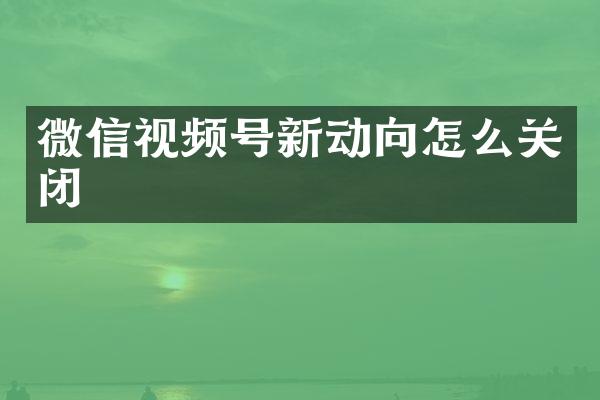 微信视频号新动向怎么关闭