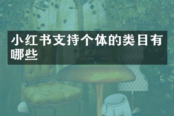 小红书支持个体的类目有哪些