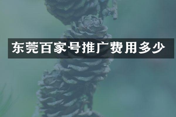 东莞百家号推广费用多少