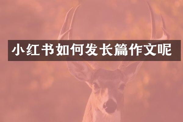 小红书如何发长篇作文呢