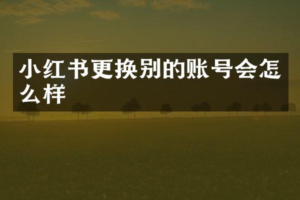 小红书更换别的账号会怎么样