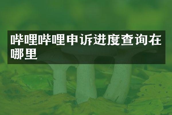 哔哩哔哩申诉进度查询在哪里