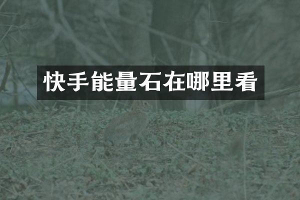 快手能量石在哪里看
