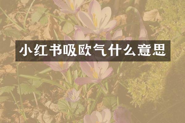 小红书吸欧气什么意思