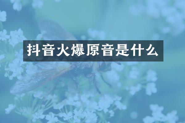 抖音火爆原音是什么