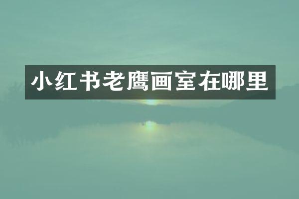 小红书老鹰画室在哪里