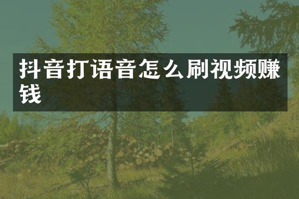 抖音打语音怎么刷视频赚钱