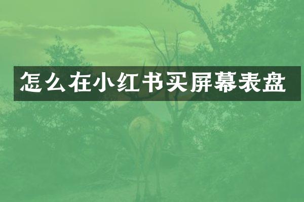 怎么在小红书买屏幕表盘