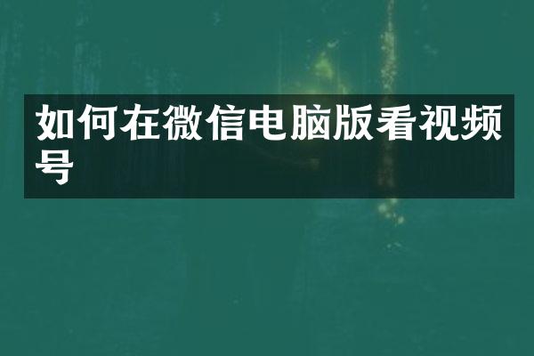 如何在微信电脑版看视频号