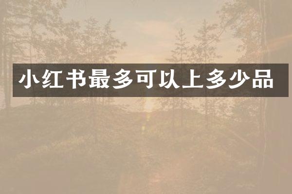 小红书最多可以上多少品