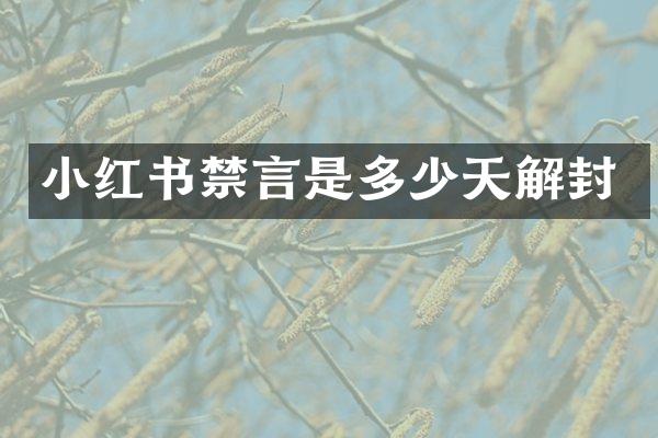 小红书禁言是多少天解封