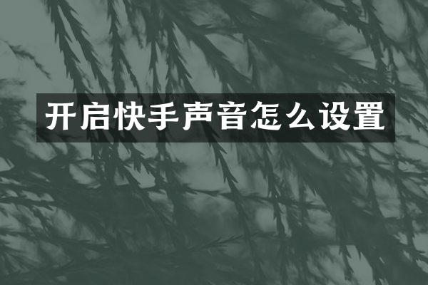 开启快手声音怎么设置