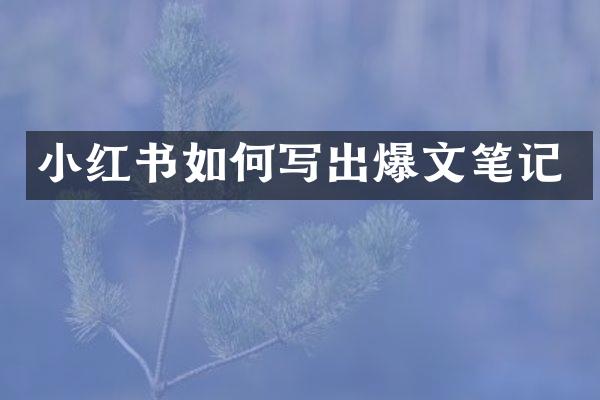 小红书如何写出爆文笔记