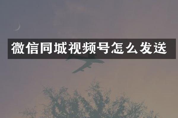 微信同城视频号怎么发送
