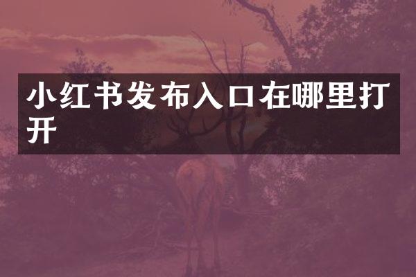 小红书发布入口在哪里打开