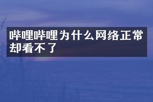哔哩哔哩为什么网络正常却看不了