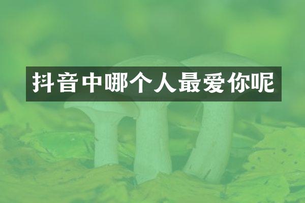 抖音中哪个人最爱你呢