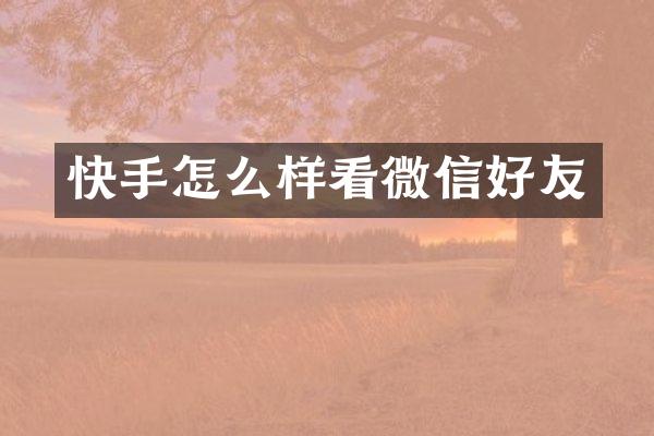 快手怎么样看微信好友