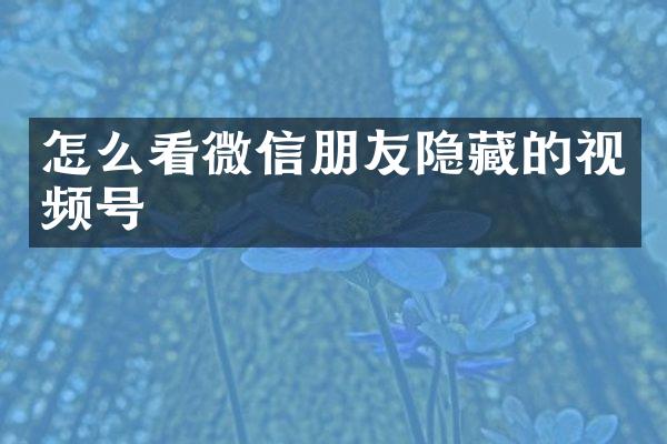 怎么看微信朋友隐藏的视频号