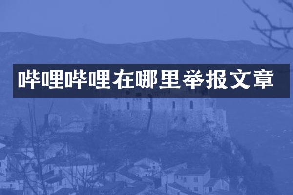 哔哩哔哩在哪里举报文章