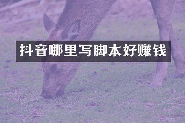 抖音哪里写脚本好赚钱