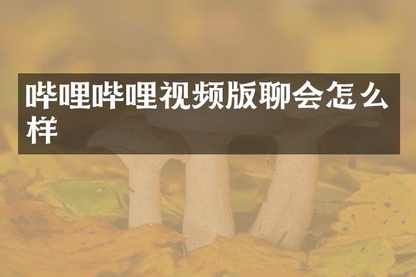 哔哩哔哩视频版聊会怎么样