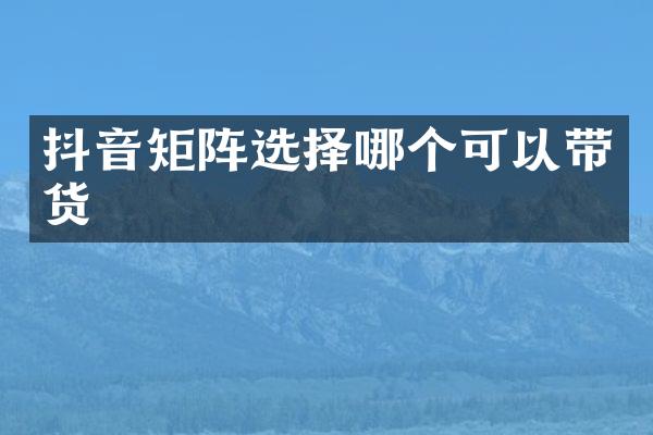 抖音矩阵选择哪个可以带货
