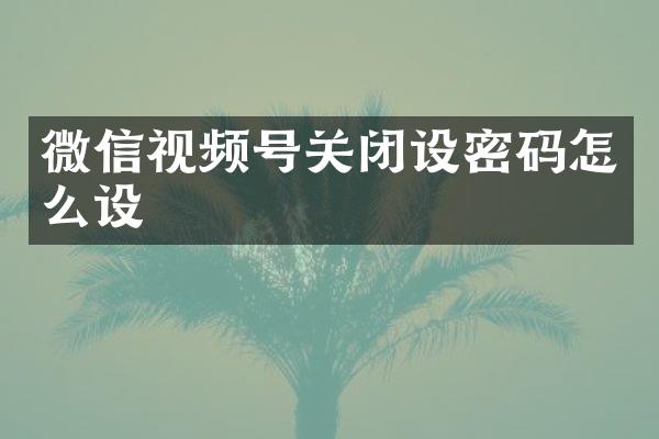 微信视频号关闭设密码怎么设
