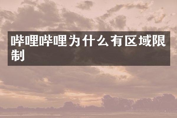 哔哩哔哩为什么有区域限制