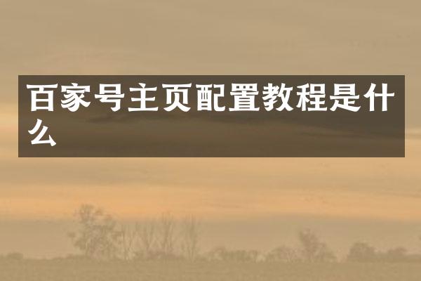 百家号主页配置教程是什么