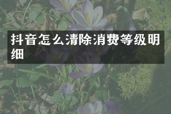 抖音怎么清除消费等级明细