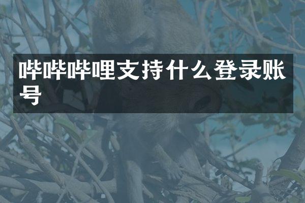 哔哔哔哩支持什么登录账号