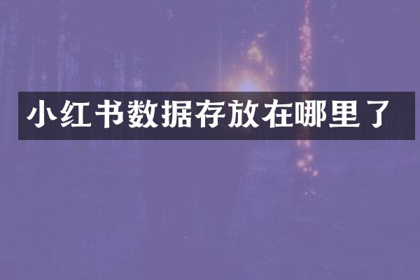 小红书数据存放在哪里了