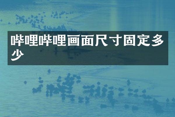 哔哩哔哩画面尺寸固定多少