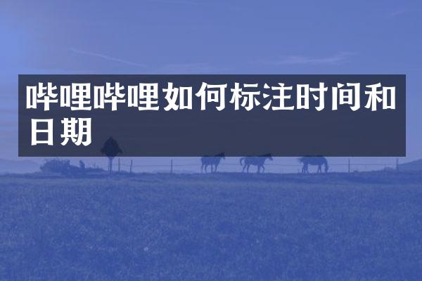 哔哩哔哩如何标注时间和日期