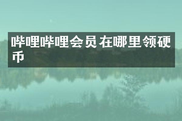 哔哩哔哩会员在哪里领硬币