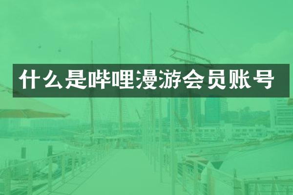 什么是哔哩漫游会员账号