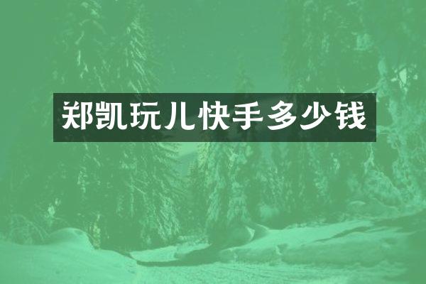 郑凯玩儿快手多少钱