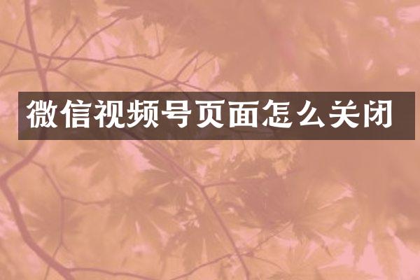 微信视频号页面怎么关闭