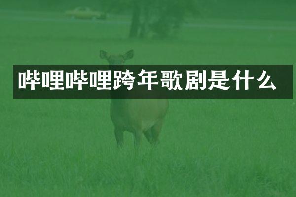 哔哩哔哩跨年歌剧是什么