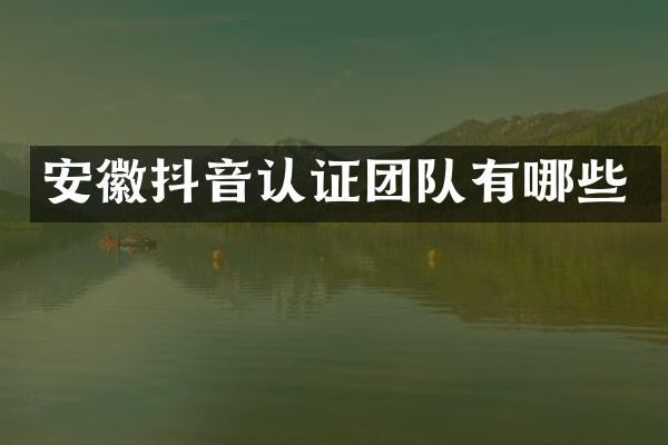 安徽抖音认证团队有哪些